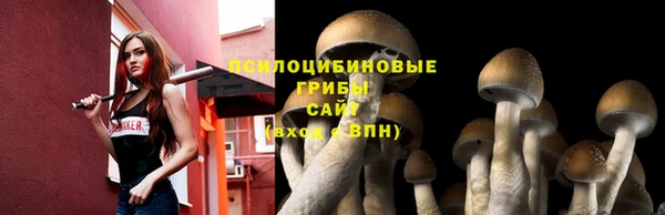 твердый Белоозёрский